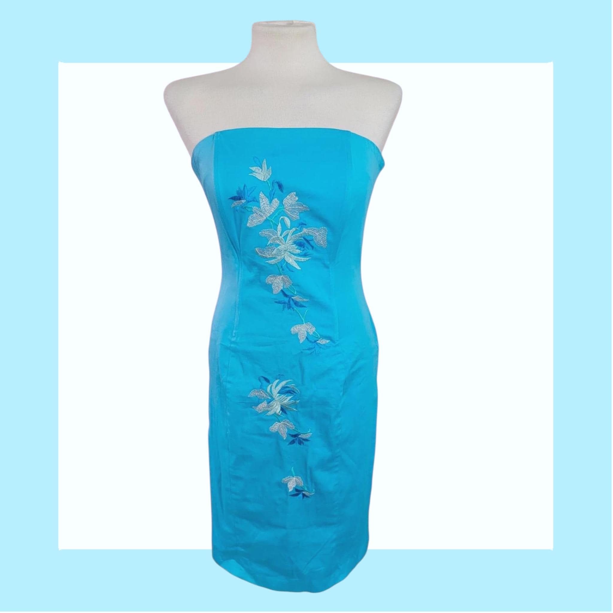 2000s tube dress Clementine Sofia Tube Dress