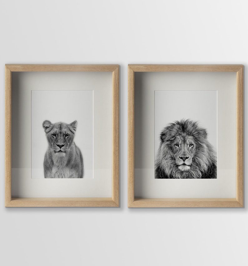 Set of 2 Black and White lions printable wall art. Lion wall Etsy