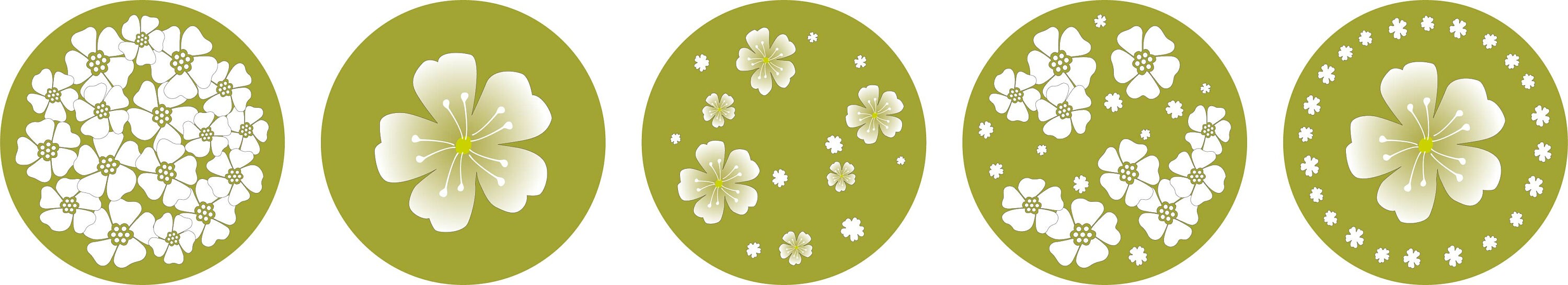 Cerisier Vert - Diamètre 12 cm X 5