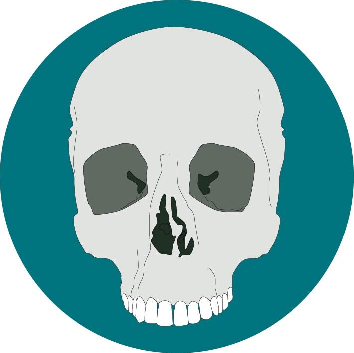 Vanites - Diamètre 12 cm X 3