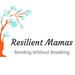 Propietario de <a href='https://www.etsy.com/mx/shop/ResilientMamas?ref=l2-about-shopname&from_page=listing' class='wt-text-link'>ResilientMamas</a>
