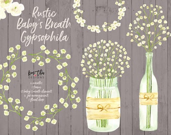 May include: A digital illustration of white baby's breath flowers in various arrangements. The flowers are in wreaths, jars, and bottles. The background is a gray woodgrain texture. The text "Rustic Baby's Breath Gypsophila" is at the top of the image. The text "kint thea DESIGNS" is in the center of the image. The text "4 wreaths 1 frame 12 baby's breath elements 4 jar arrangements 1 floral drop" is below the text "kint thea DESIGNS".