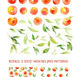 May include: Watercolor illustration of 42 peach elements and 2 patterns. The image includes individual peaches, leaves, and two seamless patterns of peaches and leaves. The text "42 PEACH ELEMENTS & 2 PATTERNS" and "BONUS: 2 12X12" HIGH RES JPEG PATTERNS" is included in the image.