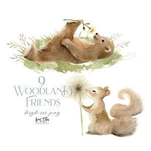 Wald Aquarell Clipart PNG | Hirsch Clipart | Bär Clipart | Eichhörnchen Clipart | Waschbär Clipart | Fuchs Clipart | Igel Clipart