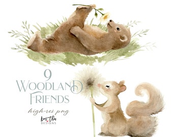 Woodland Watercolor Clipart PNG | Deer Clipart | Bear Clipart | Squirrel Clipart | Raccoon Clipart | Fox Clipart | Hedgehog Clipart