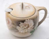 RS Tillowitz Silesia mustard pot jam pot hand painted Germany 1940 39 s with small spoon Reinhold Schlegelmilch Factory