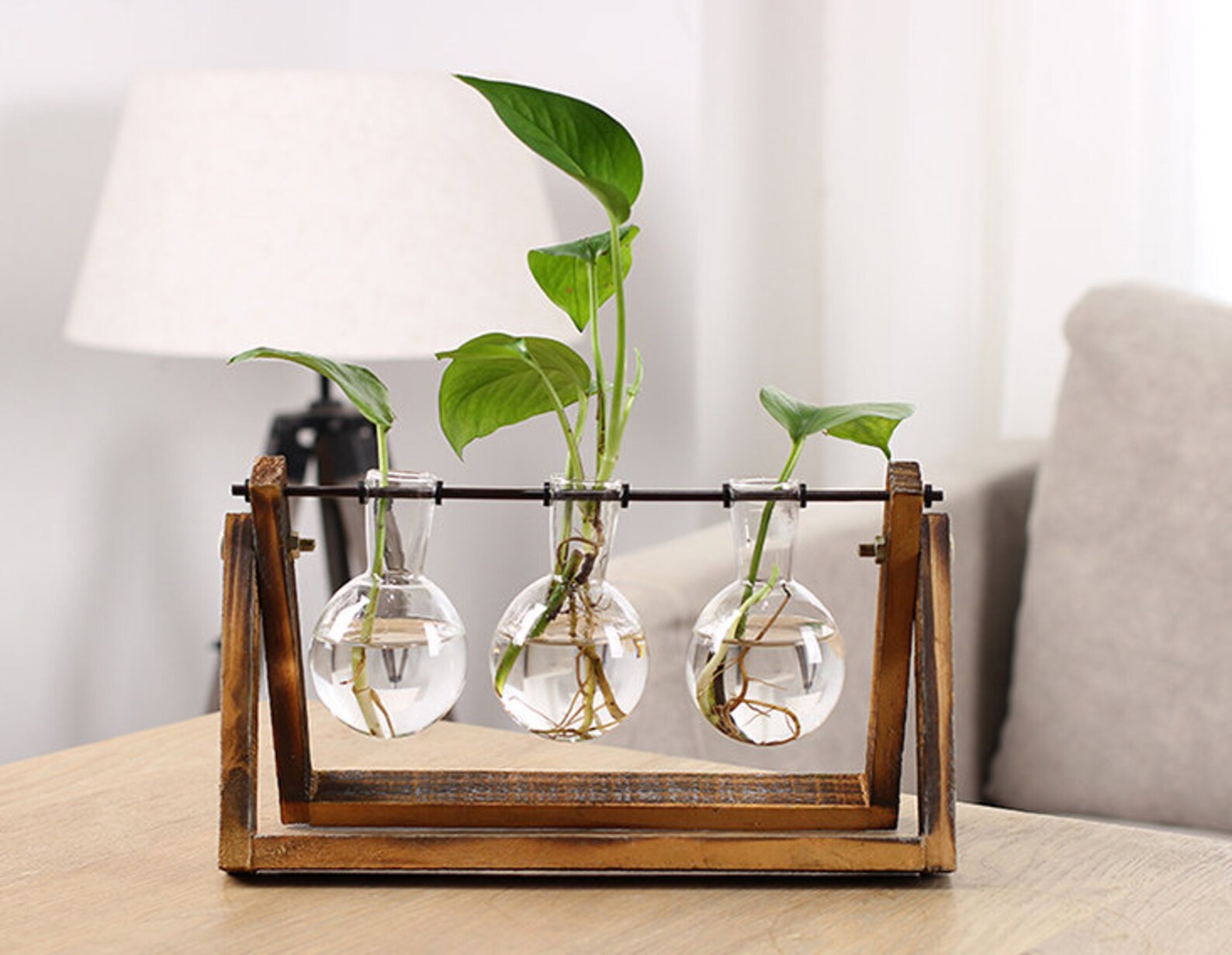 Propagation Vase Etsy