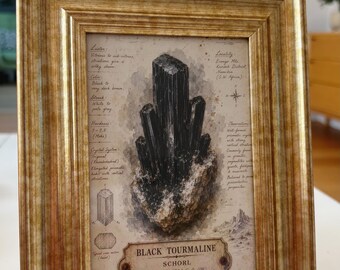 Black tourmaline nature geological picture unique art print ethereal wall decor in vintage style frame