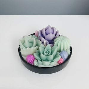 Succulent Gift Candle - Mini Cactus Soy and Bees Wax Candle  - Highest Quality Succulent Garden Candle in Various Scents - Unique Gift
