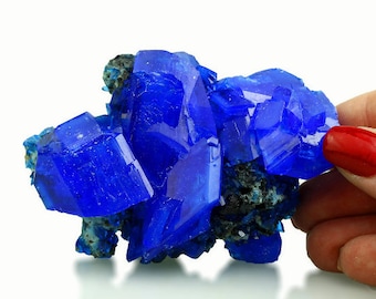 Cristal de CHALCANTHITE bleu profond sur matrice de POLOGNE, LAB