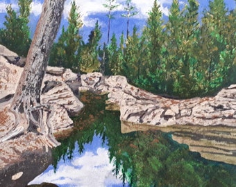 Titled: "Waters Edge", An Artist signed original,  painting of a breathe taking image of the Grand River Conservation, Niagara Escarpment.