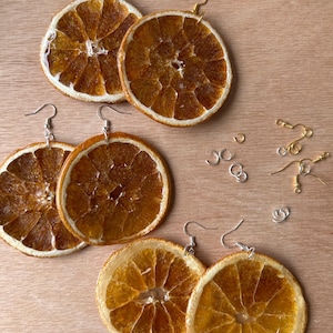 Real Dried Fruit Slice Earrings: Hypoallergenic Handmade Fruit Art