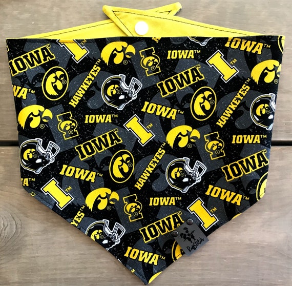 Iowa hawkeye dog clearance bandana