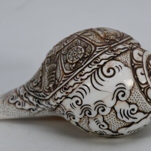 Tibetan Lama Peace Conch Antique Natural Sankha Shell Sankha Handmade Shank Conch Shell Shankh Sound Making Shankha Nepal FREE SHIPPING image 9