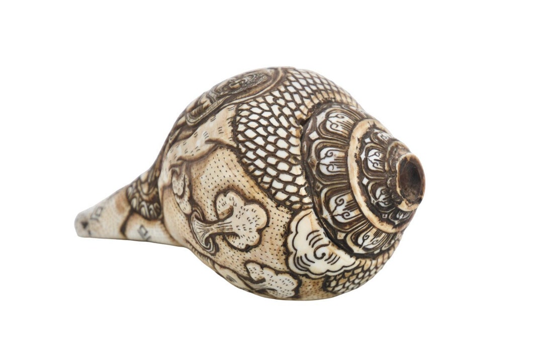 Slephant Shell Elephant Carved Conch Shell, Goddess Dhun, Tibetan Buddhism Decor - Etsy