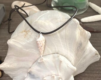 Véritable collier avec breloques coquillages de Floride sur cordon de cuir réglable, bijoux d'été, collier sur le thème de la plage