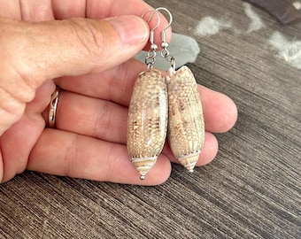 Véritables boucles d'oreilles en coquillages d'olive uniques en leur genre