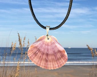Rare Calico Scallop Shell Pendant Necklace, Beach Jewelry