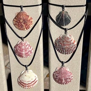 Florida Calico Scallop Shell Necklace, One of a Kind Jewelry, Beach Lover Gift