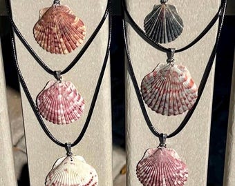Collier de coquilles Saint-Jacques en calicot de Floride, bijoux uniques, cadeau pour les amoureux de la plage