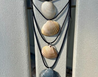 Collier de coquillages coques de Floride, véritables coquillages de Floride uniques en leur genre, cadeau pour les amoureux de la plage