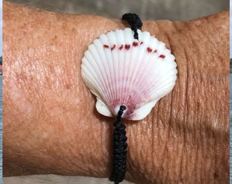 Bracelet Calico Scallop Shell, Bracelet Macrame réglable avec coquille authentique de Florida Beach, Beach Lover Gift, Bijoux Unisex