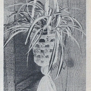 Vintage Crochet Mini Plant Hanger Pattern