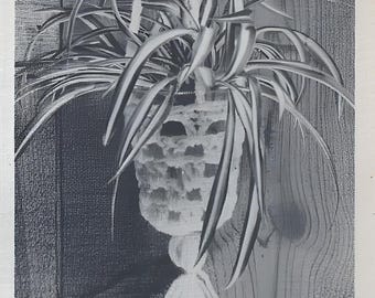 Vintage Crochet Mini Plant Hanger Pattern (PDF Download)
