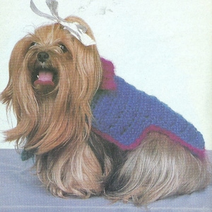 Vintage Crochet Dog Sweater Pattern