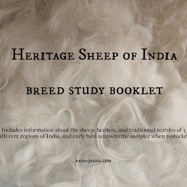 Heritage Sheep of India Rare Wool Breed Study Sampler Booklet | PDF download of informational booklet on five sheep breeds of India