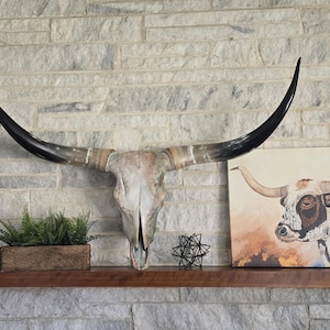Longhorn Skull Wall Decor,  Painted Cow Skull, Bohemian Style,  Decorated Skull,  Western Decor,  Real Cow Skull,  Skull Art,