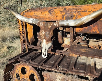 Rust Patina with Gold & Copper Flake Longhorn Skull