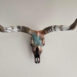 Longhorn Skull Wall Decor,  Painted Cow Skull, Bohemian Style,  Decorated Skull,  Western Decor,  Real Cow Skull,  Skull Art,
