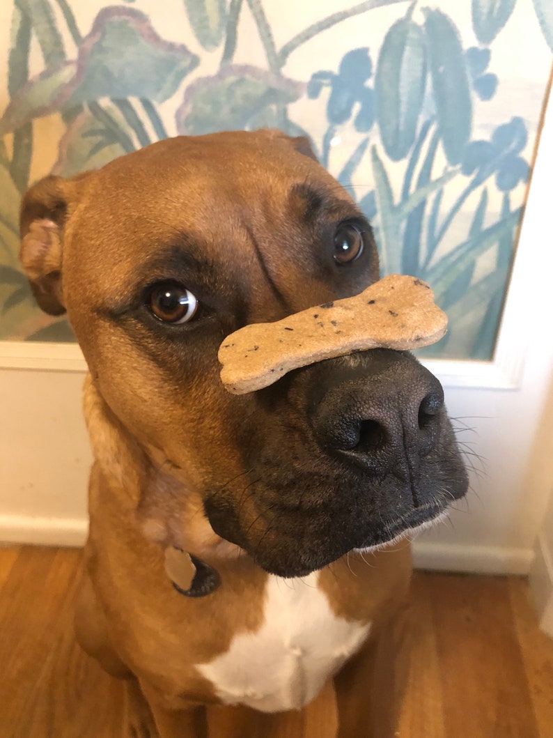 All Natural Dog Treats Natural Dog Treats Homemade Dog Etsy