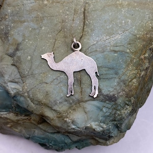 Sterling Silver Camel Pendant 1” (2685)