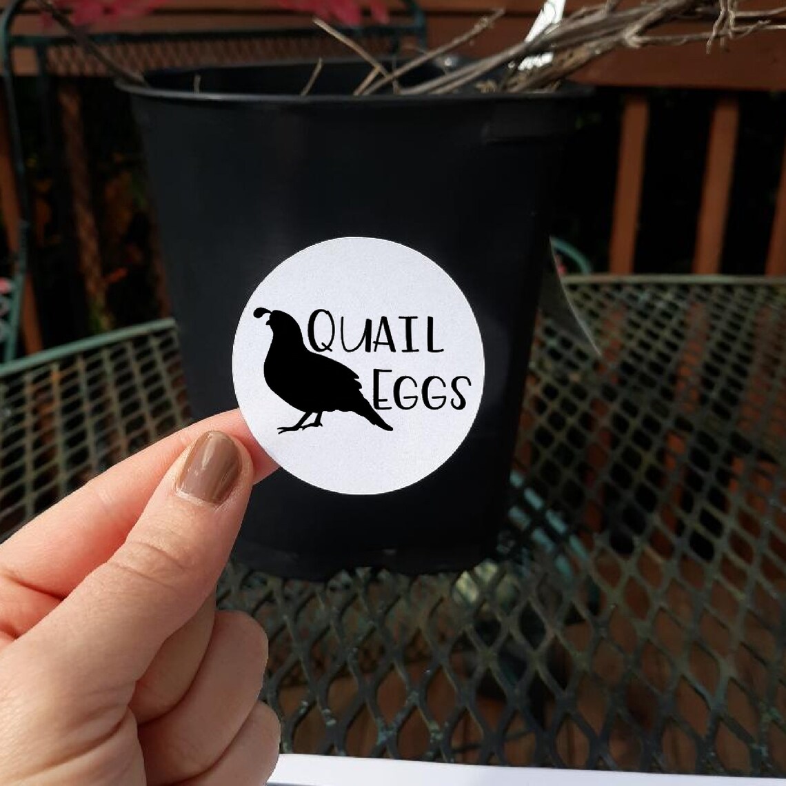 Quail Egg Stickers Egg Carton Stickers Gift Farm Fresh Eggs Etsy