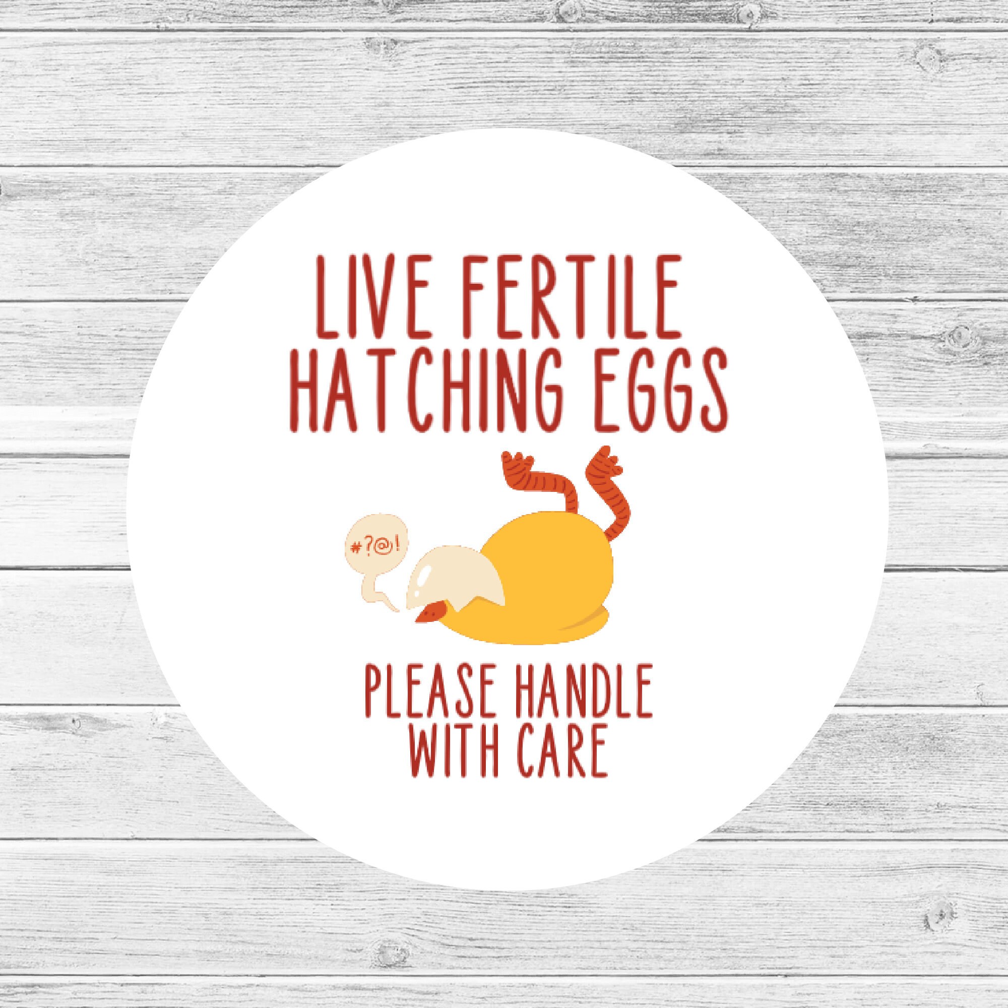 Fertile Hatching Egg Label Fragile Egg Stickers Chicken Etsy