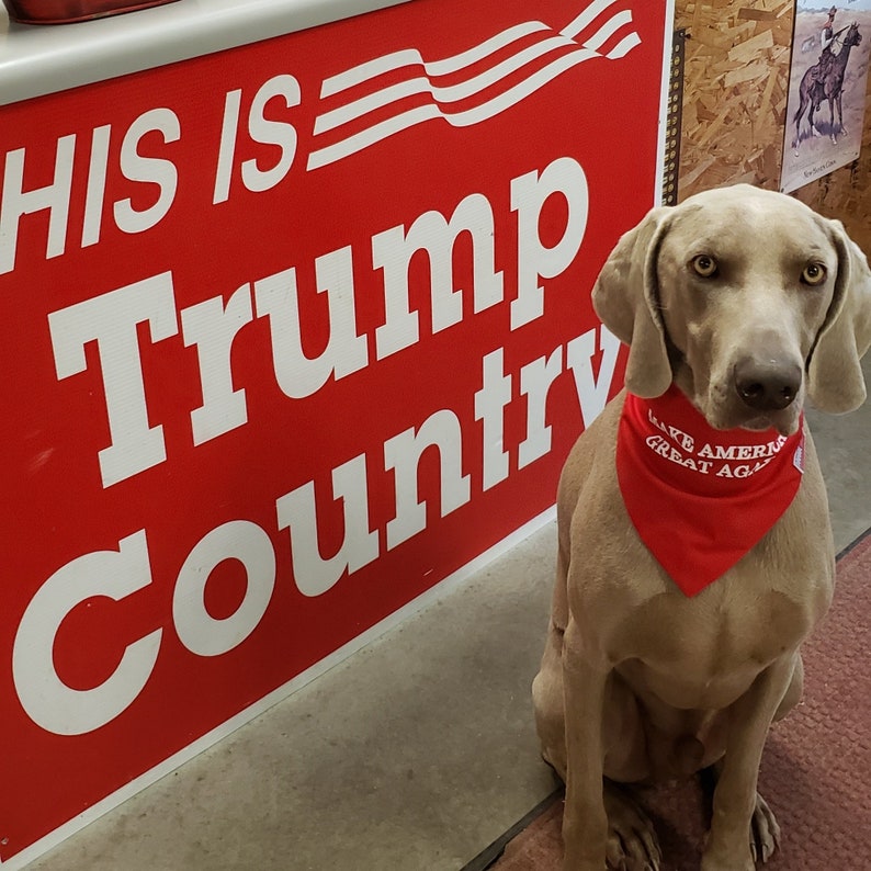 Trump Dog Bandana Make America Great Again MAGA Hankerchief Etsy