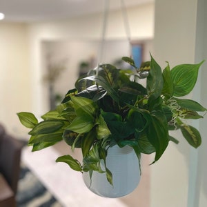Hanging Planter with Fake Plants, Artificial Plant Mix in White Ceramic Pot, Faux Plants for Kitchen Arch, Unique Realistic Potted Greenery