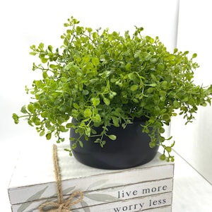 May include: A stack of three white rectangular wooden blocks tied with jute twine, featuring the printed text "live more", "worry less", and "and be happy" with green leaf illustrations. A black bowl with a green artificial plant sits on top.