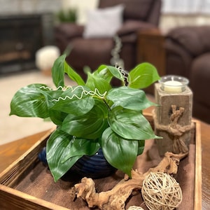 Plantas artificiales en jarrón de conchas marinas, potos en jarrón de cerámica azul, elegante decoración costera, maceta con filodendro y vegetación artificial.