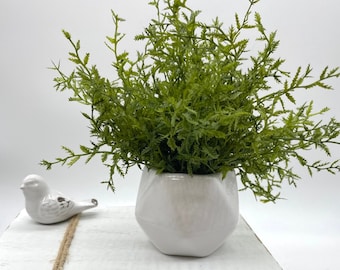 Small Fake Plant in White Geometric Pot, Artificial Plant Bathroom Counter Decor, Farmhouse Greenery for Shelf, Coffee Table Mini Decoration