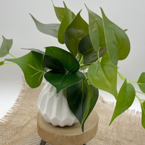 Sage Plant in White Ceramic Pot Fake Plants Coffee Table Etsy