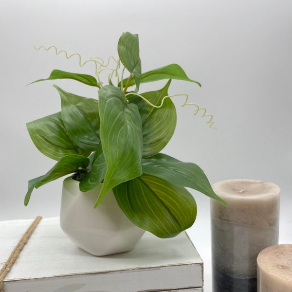 Fake Plant in Small Geometric Pot, Artificial Big Leaf Plant for Coffee Table, Faux Plants for Sofa Tray, Bathroom Shelf Greenery Decor Idea