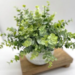 May include: A small, artificial eucalyptus plant in a white, textured pot. The plant has vibrant green leaves and is displayed on a small, square, wooden stand. The arrangement is a decorative accent for home decor.