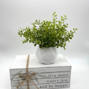 Fake plants for coffee table discount