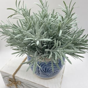 May include: A potted plant with sage green, needle-like leaves in a blue and white swirled ceramic pot, resting on a white rectangular wooden block with the text "live more worry less and be happy" tied with a thin brown twine bow.