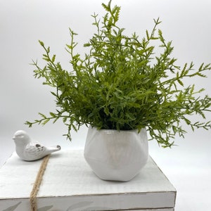 Puede incluir: Una maceta de cerámica blanca con una planta verde de hojas dentro. La maceta está sentada sobre una pila de libros con el texto "live more worry less and be happy" impreso en la parte delantera.