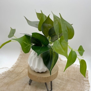Puede incluir: Arreglo decorativo con hojas verdes en un jarrón de cerámica blanco acanalado. El jarrón está sobre un pequeño soporte redondo de madera con patas de metal, colocado sobre una tela de arpillera. Las hojas tienen diferentes tonos de verde.