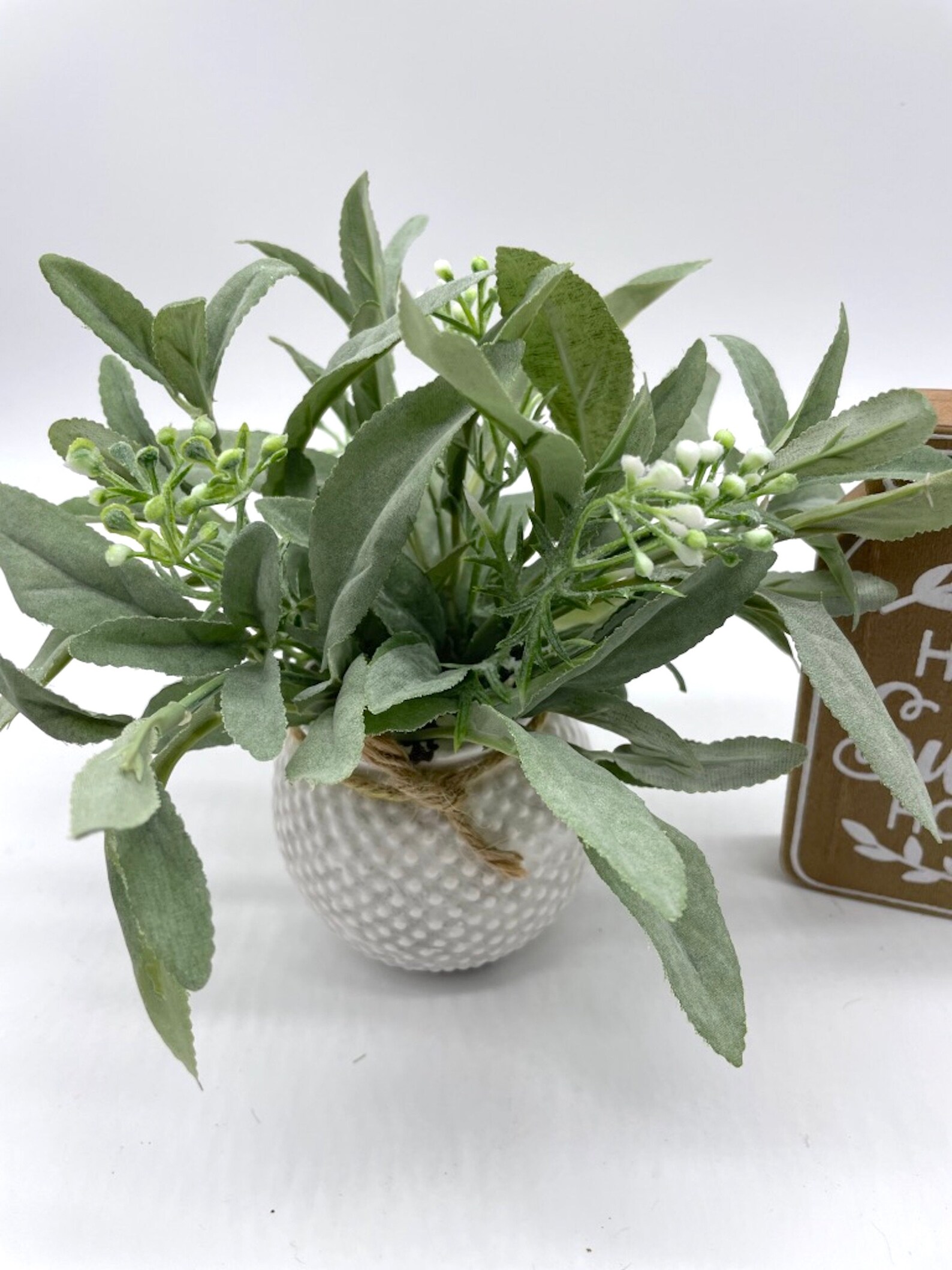 Sage Plant in White Ceramic Pot Fake Plants Coffee Table Etsy